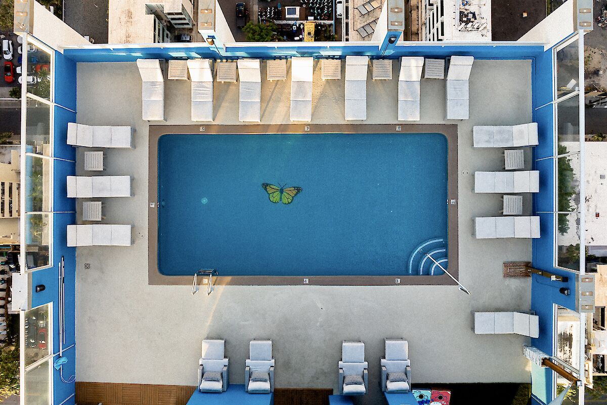 A rooftop swimming pool surrounded by loungers, with a butterfly design at the bottom of the pool, viewed from above.