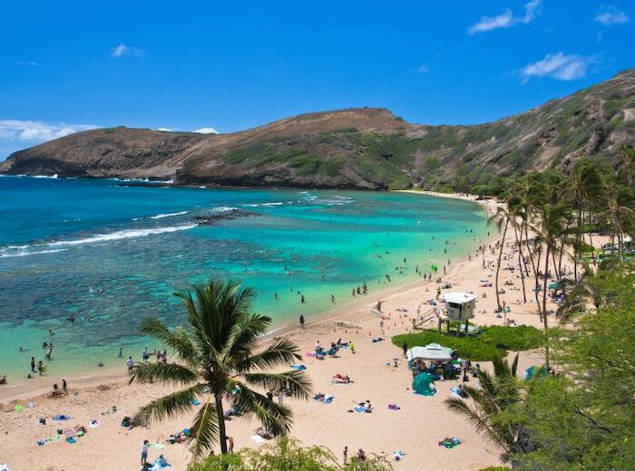 A scenic beach with turquoise waters, surrounded by hills and palm trees, with people sunbathing and swimming, under a bright blue sky.